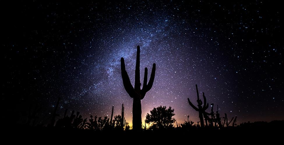 starry night with saguaro silhouette