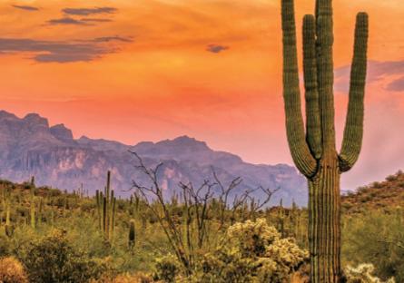 beautiful desert landscape