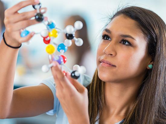 student looking a molecular model